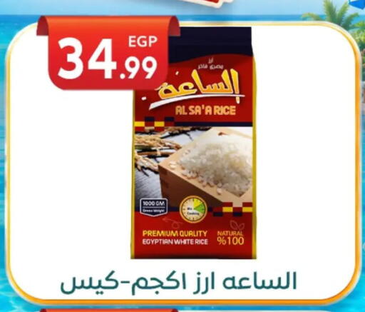 available at أولاد المحاوى in Egypt - القاهرة