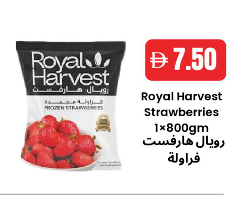 available at Best Coop Discounts Hypermarket in UAE - Dubai