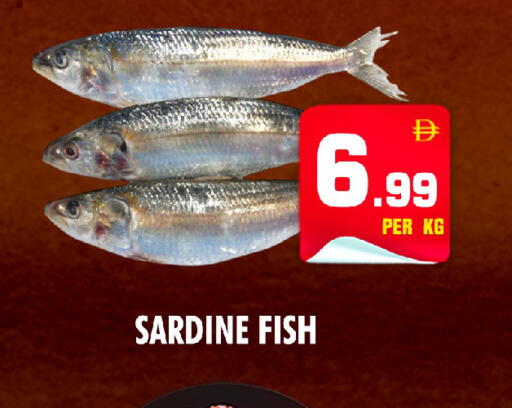 available at NIGHT TO NIGHT DEPARTMENT STORE in UAE - Sharjah / Ajman
