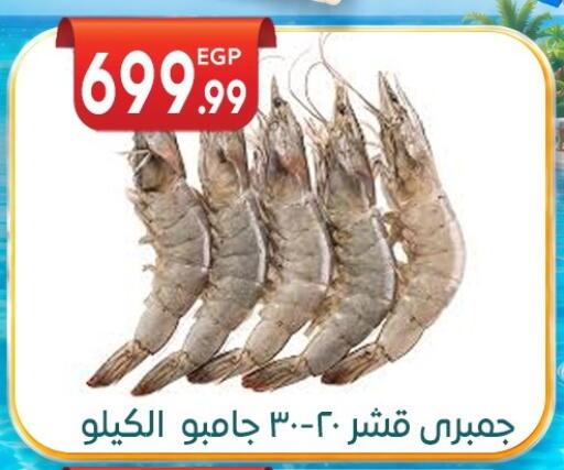 available at المحلاوي ماركت in Egypt - القاهرة