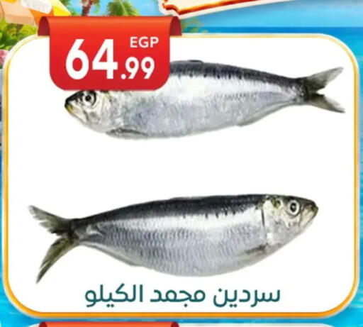 available at أولاد المحاوى in Egypt - القاهرة