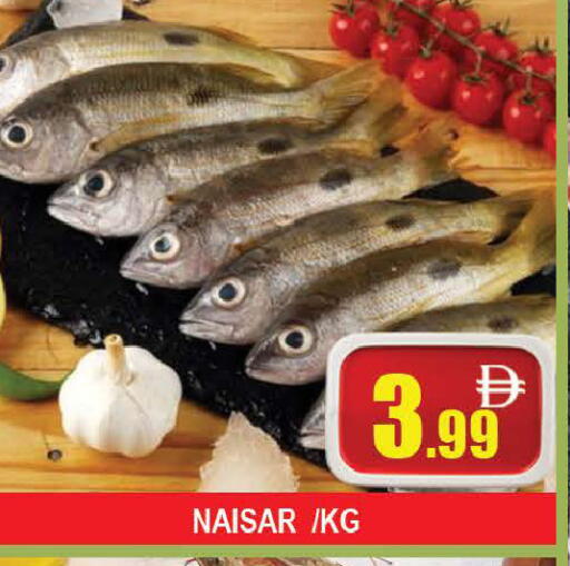 available at المدينة in الإمارات العربية المتحدة , الامارات - دبي