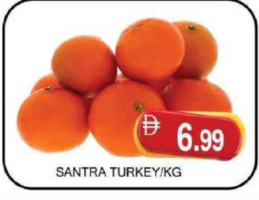 from Turkey available at المدينة in الإمارات العربية المتحدة , الامارات - دبي