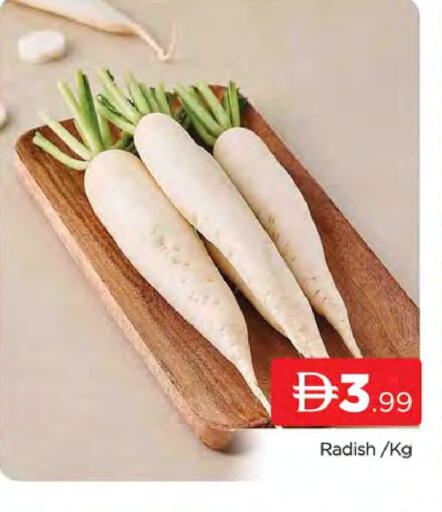 Radish available at AL MADINA (Dubai) in UAE - Dubai