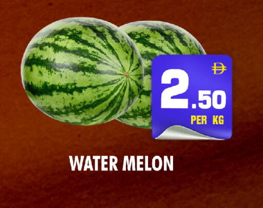 Melon available at NIGHT TO NIGHT DEPARTMENT STORE in UAE - Sharjah / Ajman