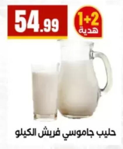 available at المحلاوي ستورز in Egypt - القاهرة