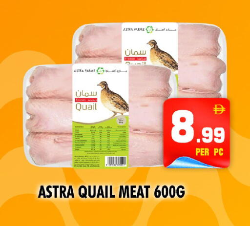 available at NIGHT TO NIGHT DEPARTMENT STORE in UAE - Sharjah / Ajman