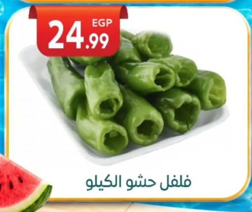 available at أولاد المحاوى in Egypt - القاهرة