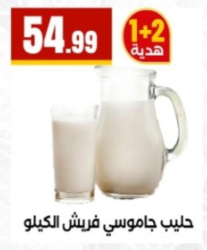 available at مارت فيل in Egypt - القاهرة