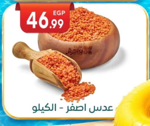 available at أولاد المحاوى in Egypt - القاهرة