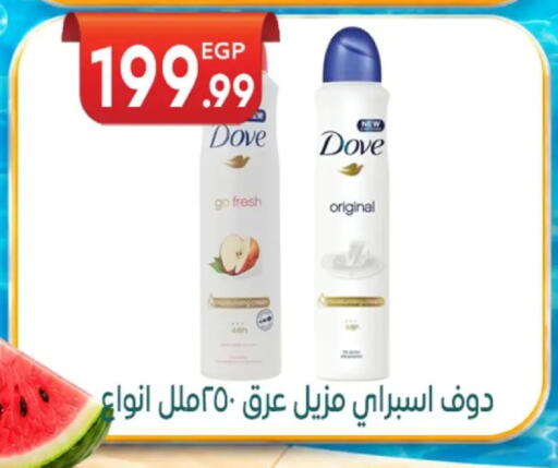 available at El mhallawy Sons in Egypt - Cairo