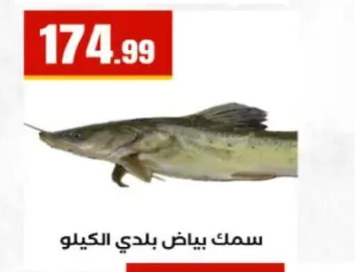 available at El Mahlawy Stores in Egypt - Cairo