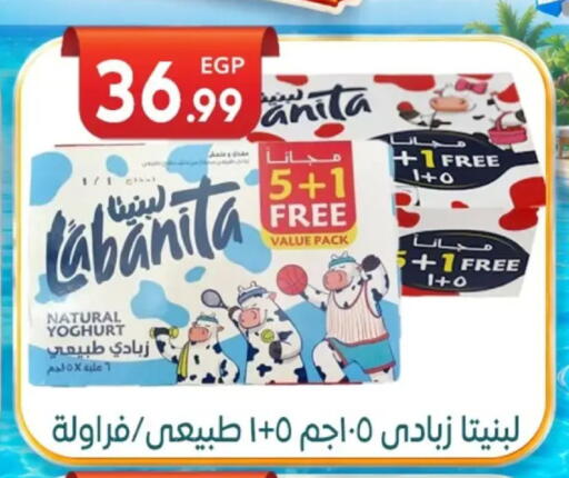 available at أولاد المحاوى in Egypt - القاهرة
