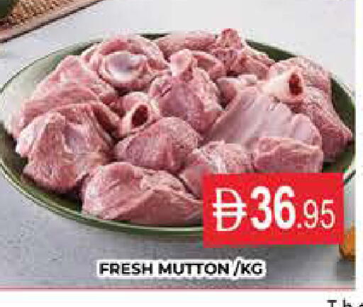 available at AL MADINA (Dubai) in UAE - Dubai