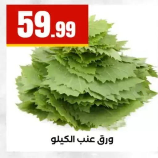 available at El Mahlawy Stores in Egypt - Cairo