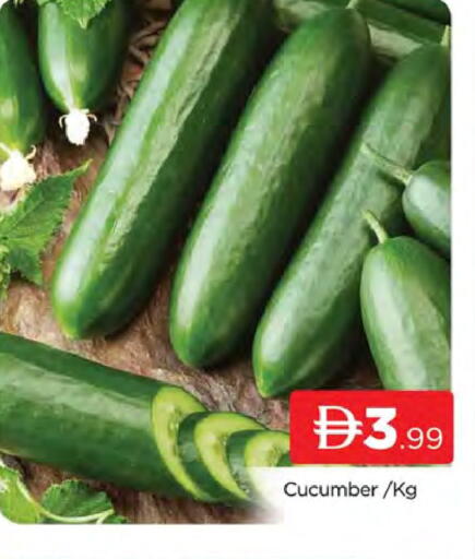 Cucumber available at AL MADINA (Dubai) in UAE - Dubai