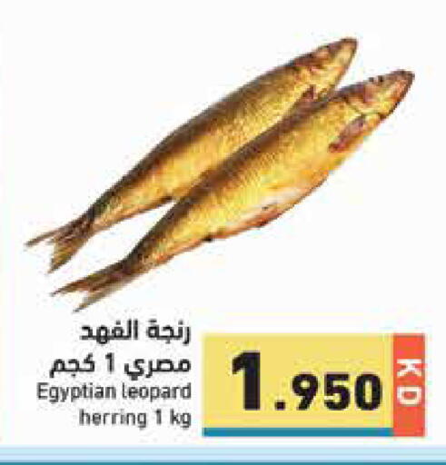 available at Ramez in Kuwait - Jahra Governorate