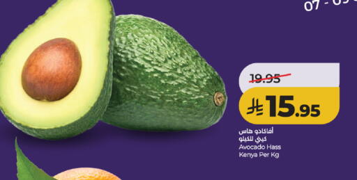 Avocado from Kenya available at لولو هايبرماركت in مملكة العربية السعودية, السعودية, سعودية - خميس مشيط