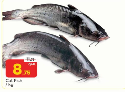 available at باريس هايبرماركت in قطر - الوكرة