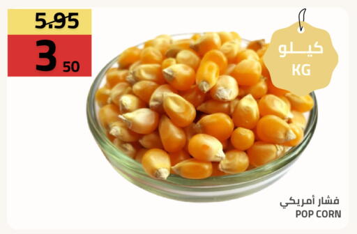 available at أسواق أسترا in مملكة العربية السعودية, السعودية, سعودية - تبوك