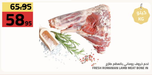 available at أسواق أسترا in مملكة العربية السعودية, السعودية, سعودية - تبوك