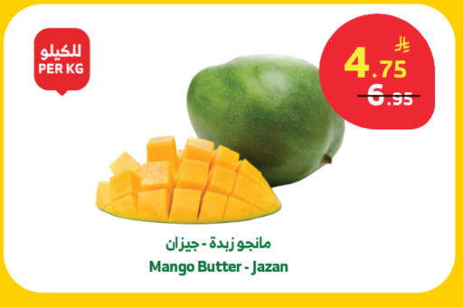 Mango available at الراية in مملكة العربية السعودية, السعودية, سعودية - تبوك