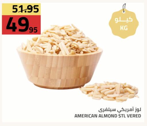 available at أسواق أسترا in مملكة العربية السعودية, السعودية, سعودية - تبوك