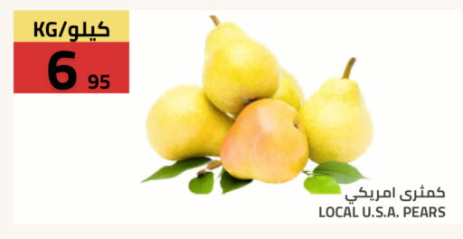 available at أسواق أسترا in مملكة العربية السعودية, السعودية, سعودية - تبوك