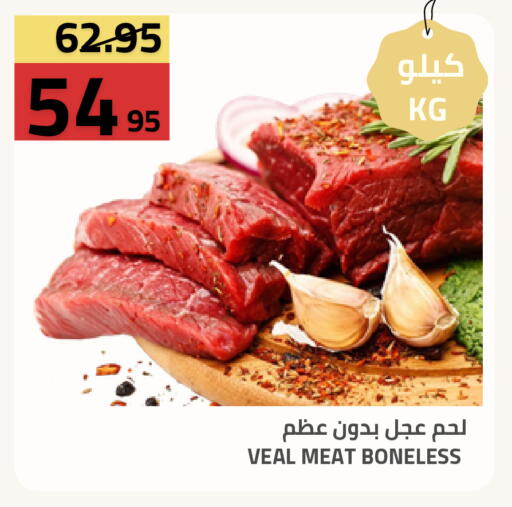 available at أسواق أسترا in مملكة العربية السعودية, السعودية, سعودية - تبوك