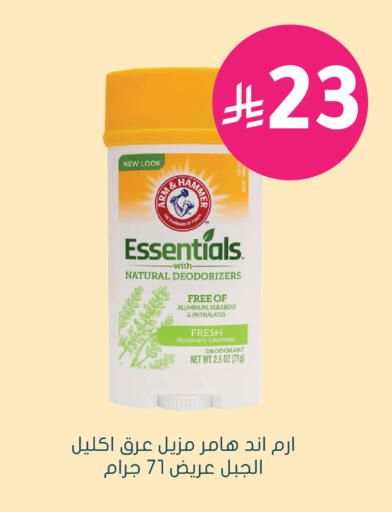 Rosemary available at  النهدي in مملكة العربية السعودية, السعودية, سعودية - الخفجي