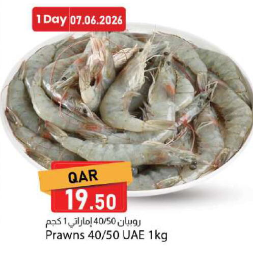 available at دانا ماركت in قطر - الوكرة