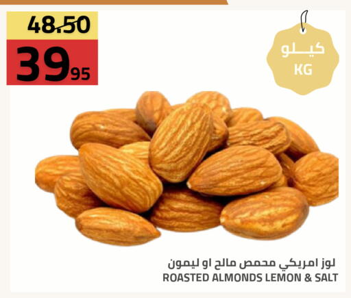Lemon available at أسواق أسترا in مملكة العربية السعودية, السعودية, سعودية - تبوك