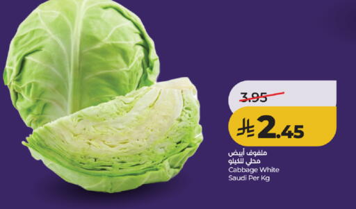 Cabbage from Saudi Arabia available at لولو هايبرماركت in مملكة العربية السعودية, السعودية, سعودية - تبوك