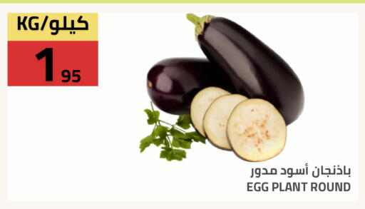 available at أسواق أسترا in مملكة العربية السعودية, السعودية, سعودية - تبوك