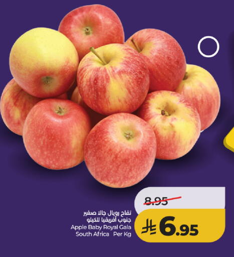 Apple from South Africa available at LULU Hypermarket in KSA, Saudi Arabia, Saudi - Tabuk
