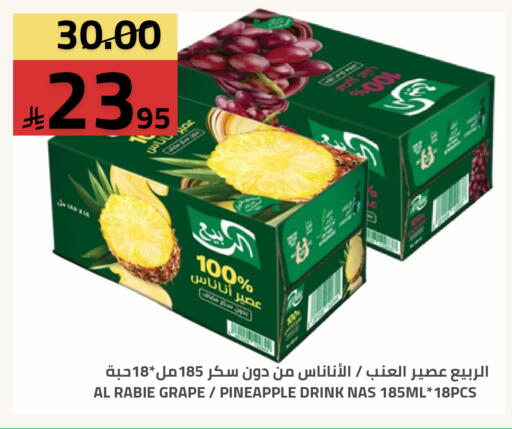 Pineapple available at أسواق أسترا in مملكة العربية السعودية, السعودية, سعودية - تبوك