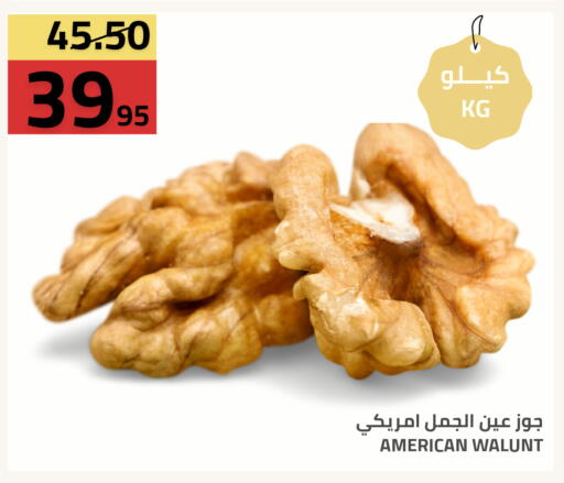 available at أسواق أسترا in مملكة العربية السعودية, السعودية, سعودية - تبوك
