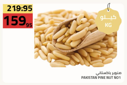 available at أسواق أسترا in مملكة العربية السعودية, السعودية, سعودية - تبوك