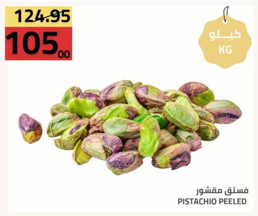 available at أسواق أسترا in مملكة العربية السعودية, السعودية, سعودية - تبوك