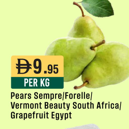 from South Africa Egypt available at West Zone Supermarket in UAE - Sharjah / Ajman