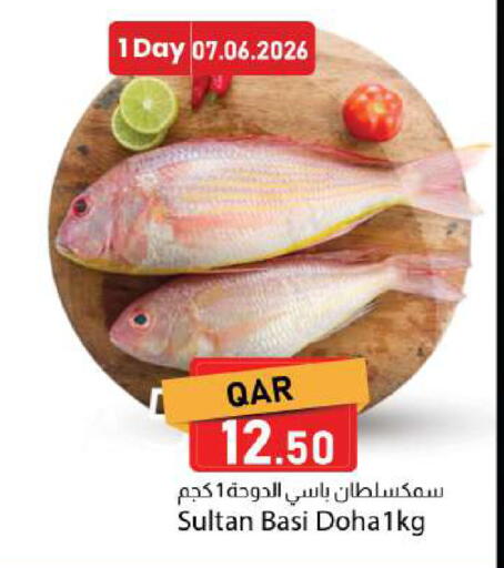 available at دانا ماركت in قطر - الوكرة