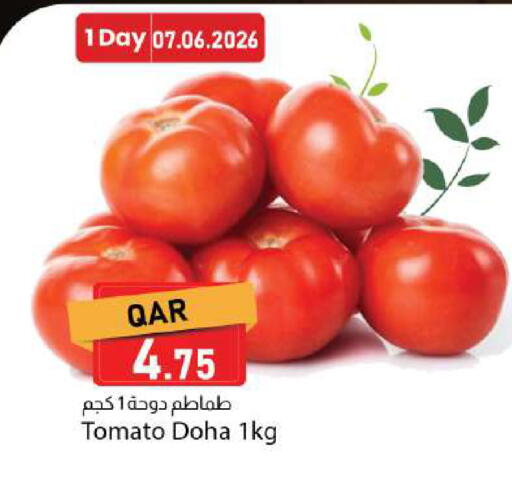 Tomato from Qatar available at Dana Market in Qatar - Al Wakra