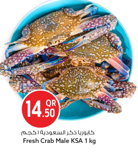 available at سفاري هايبر ماركت in قطر - الوكرة