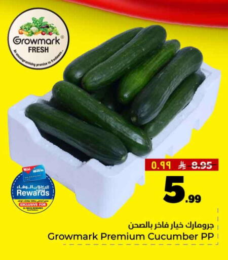 Cucumber available at هايبر الوفاء in مملكة العربية السعودية, السعودية, سعودية - جدة