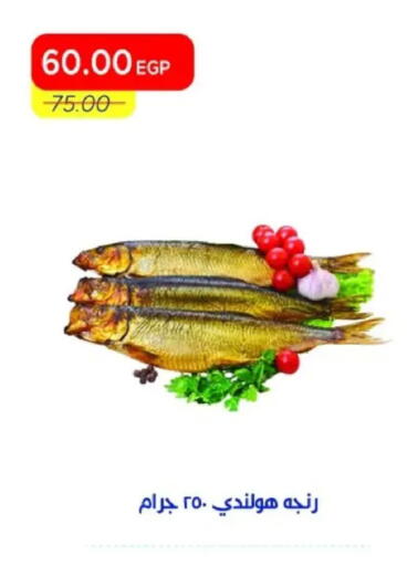 available at مترو ماركت in Egypt - القاهرة
