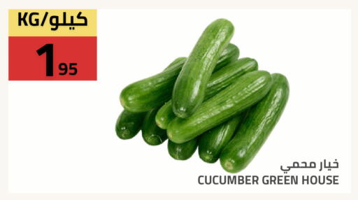 Cucumber available at أسواق أسترا in مملكة العربية السعودية, السعودية, سعودية - تبوك