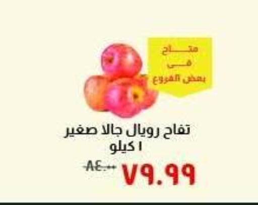 available at خير زمان in Egypt - القاهرة