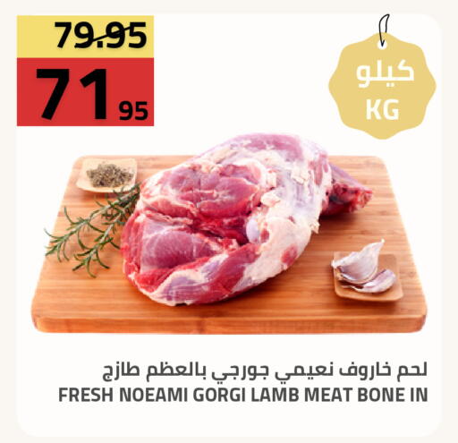available at أسواق أسترا in مملكة العربية السعودية, السعودية, سعودية - تبوك