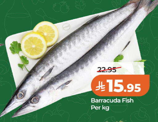 available at لولو هايبرماركت in مملكة العربية السعودية, السعودية, سعودية - الخبر‎