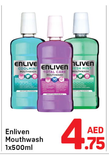 Mint available at Day to Day Department Store in UAE - Dubai